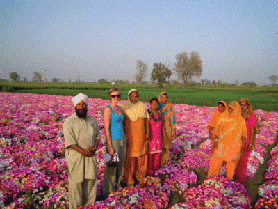 Traveling With Edible Flowers in Punjab Image